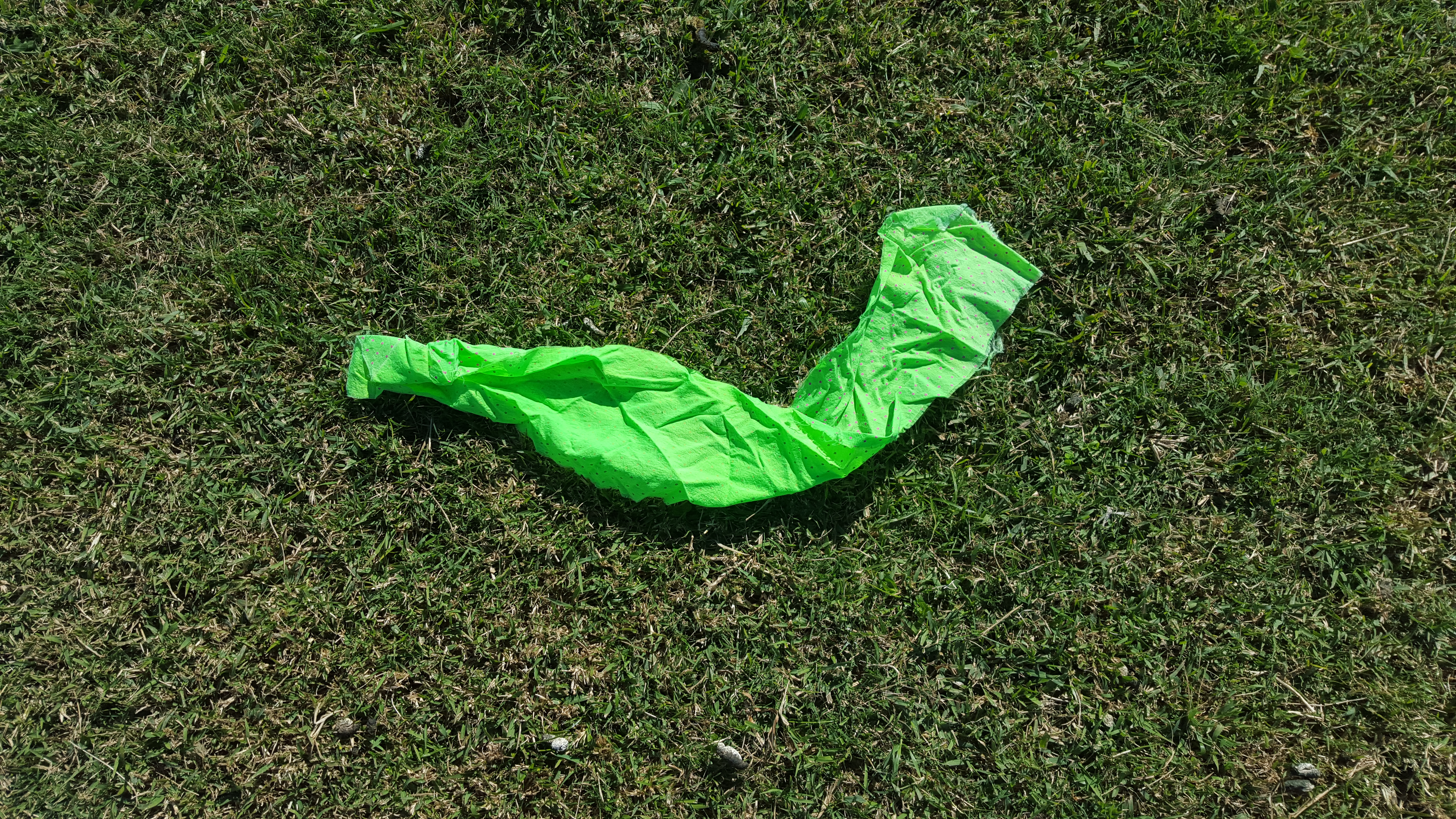 A green ribbon lying on the grass