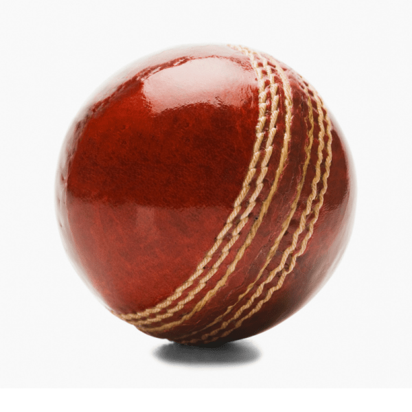 Cricket Ball Blog
