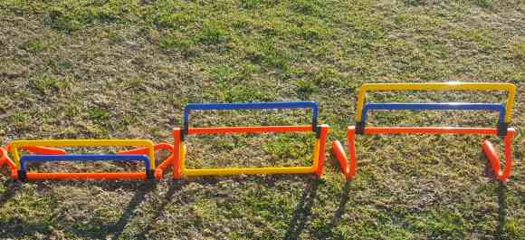 Mini Hurdles x 3 resized