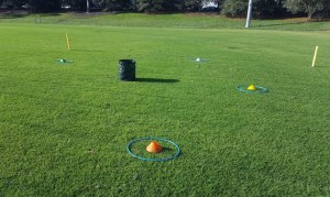 Sorting Game Cropped